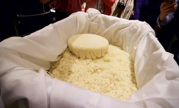 麹づくりワークショップ